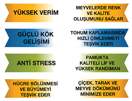 Alvafo Tarım